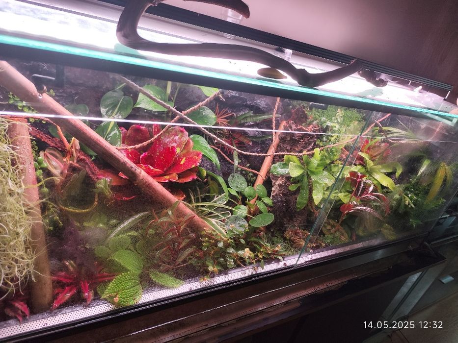 Terrarium bioaktywne 120x50x50