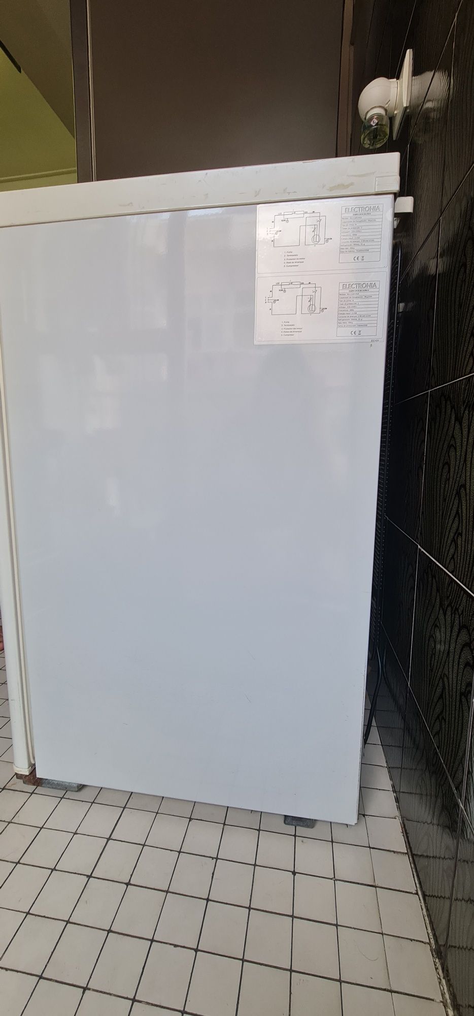 Arca congeladora vertical a funcionar a 100%