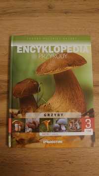 Encyklopedia przyrody grzyby