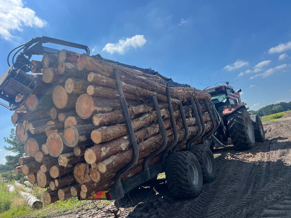 Przyczepa leśna Palms 10D 4,70 model