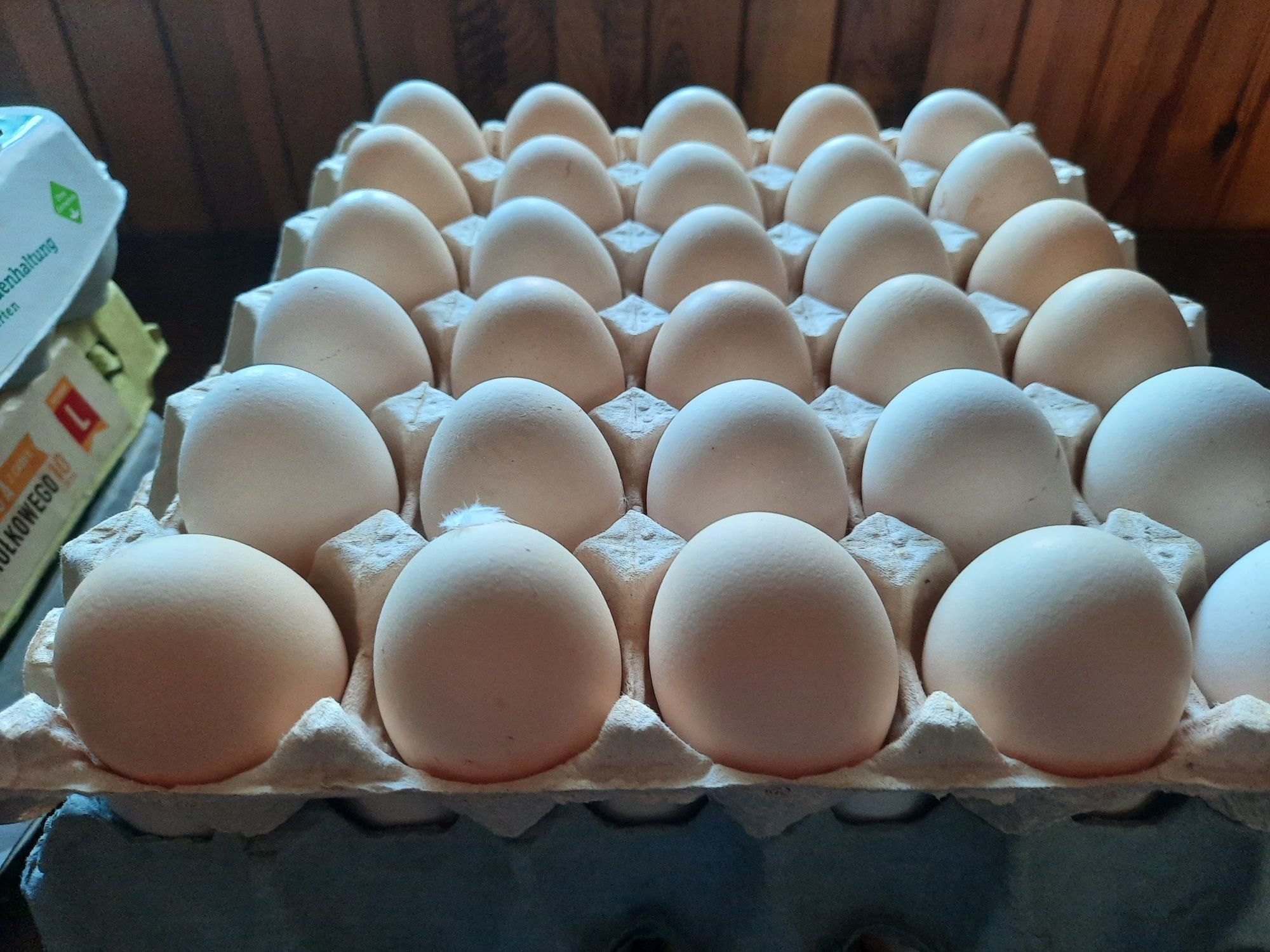 Świeże Jajka wiejskie