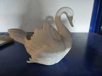 Cisne vista alegre