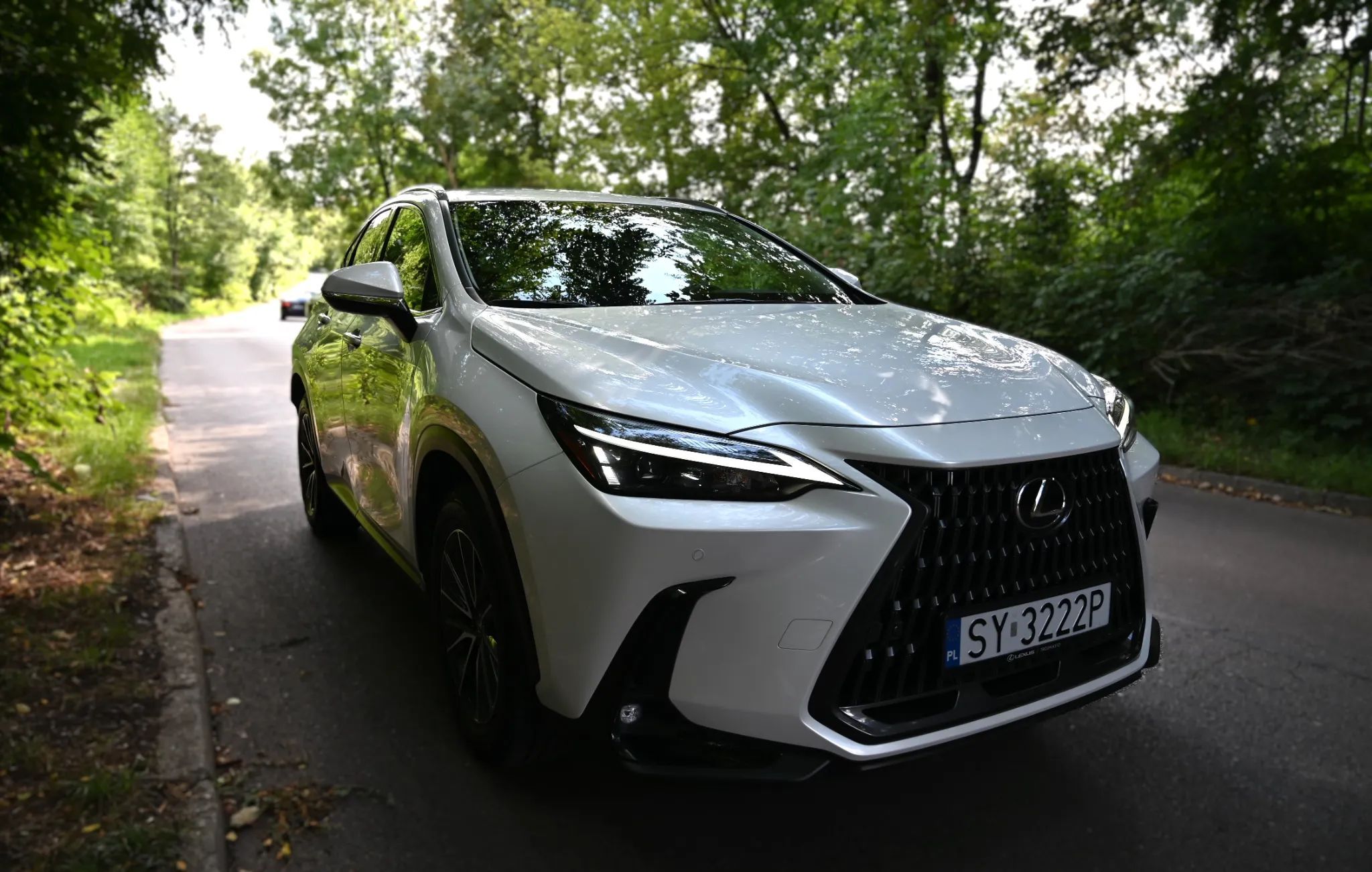 Lexus NX Krajowy bezwypadkowy Biała perła serwis ASO Asystenci