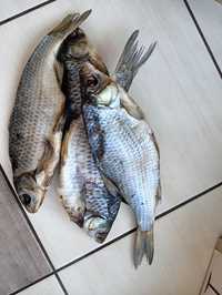 Таранка,Сушеная рыба