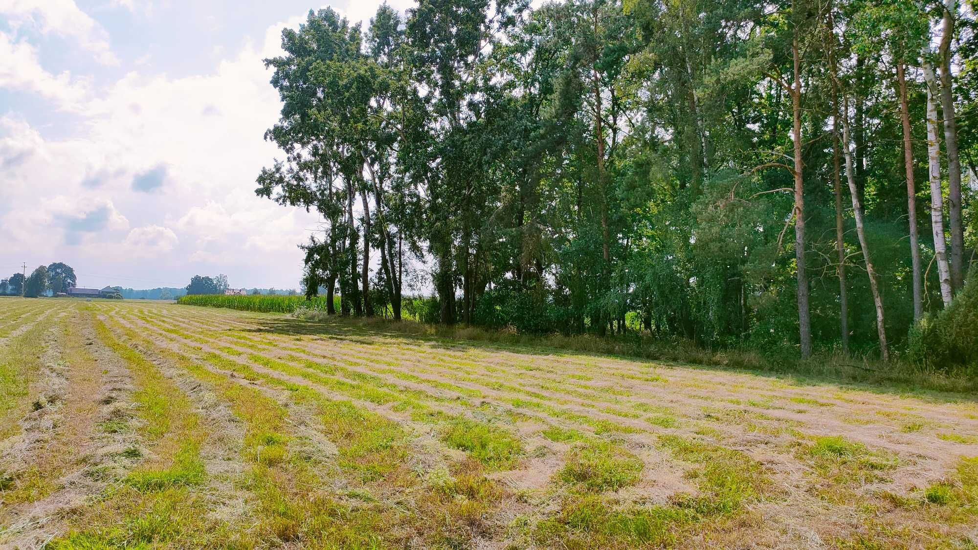 Działka Zahajki, gmina Drelów, Międzyrzec Podlaski