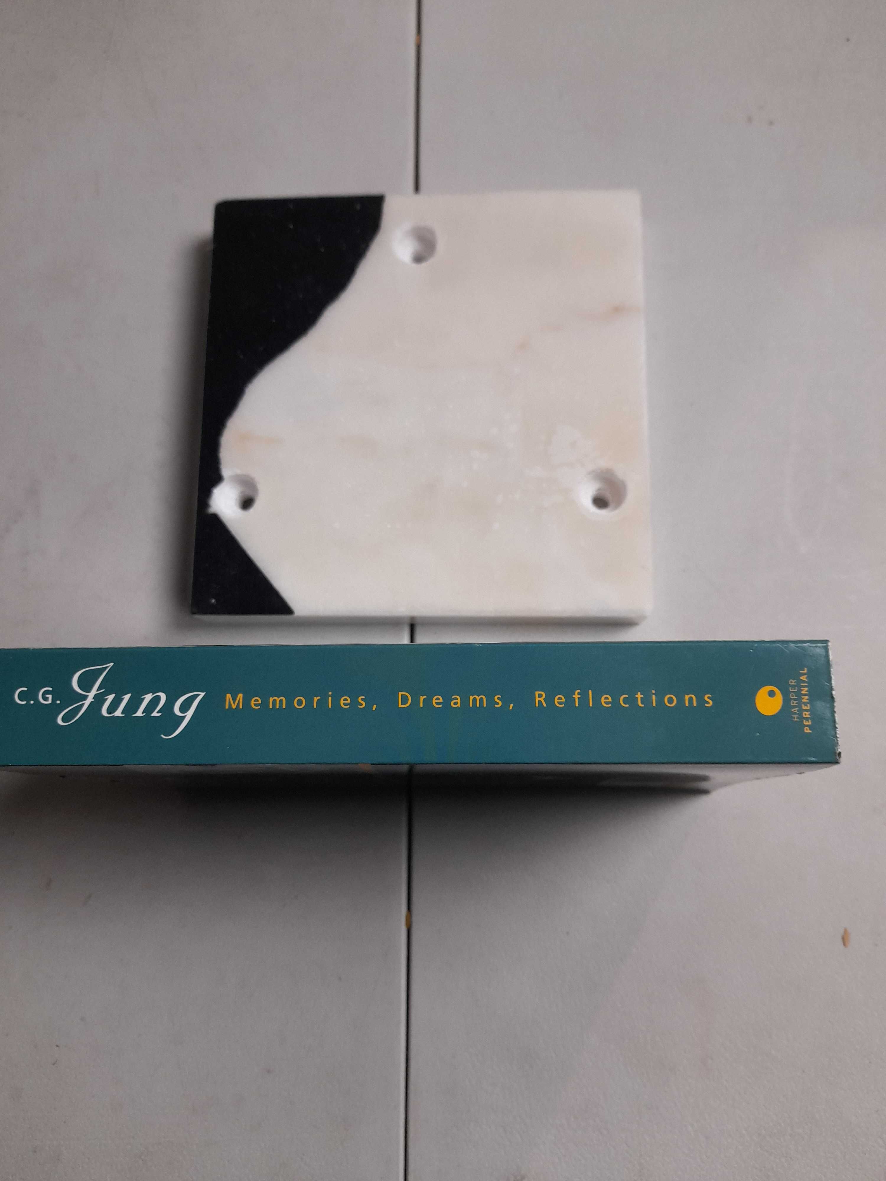 Livro- Ref CxC  - c.g. Jung - memories, dreams, reflections