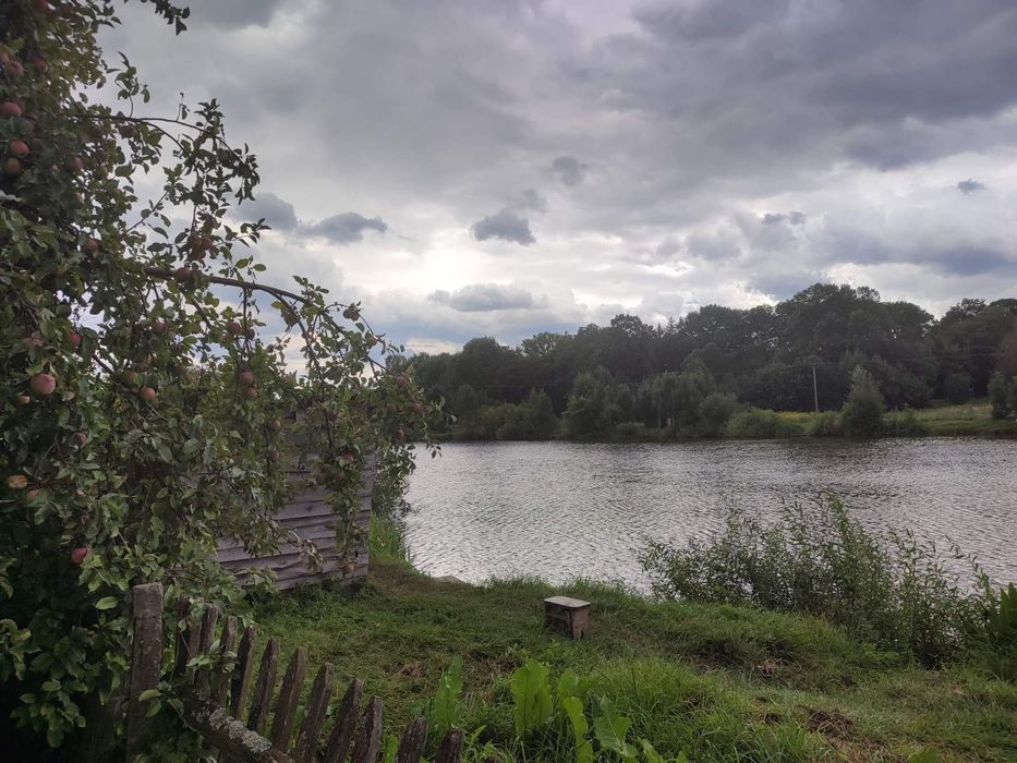 Будинок Рівненська область