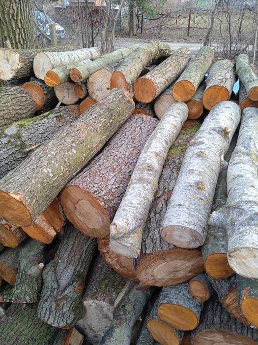 Дрова м'яка порода вільха,осика,черемха.