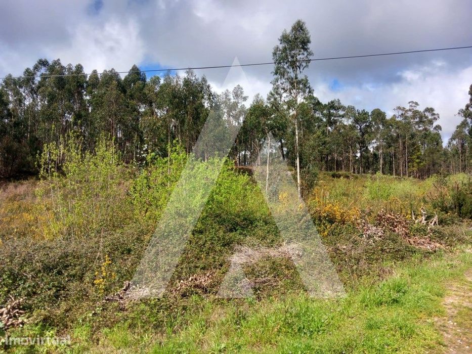 Terreno para construção em Cesar, Oliveira de Azemeis
