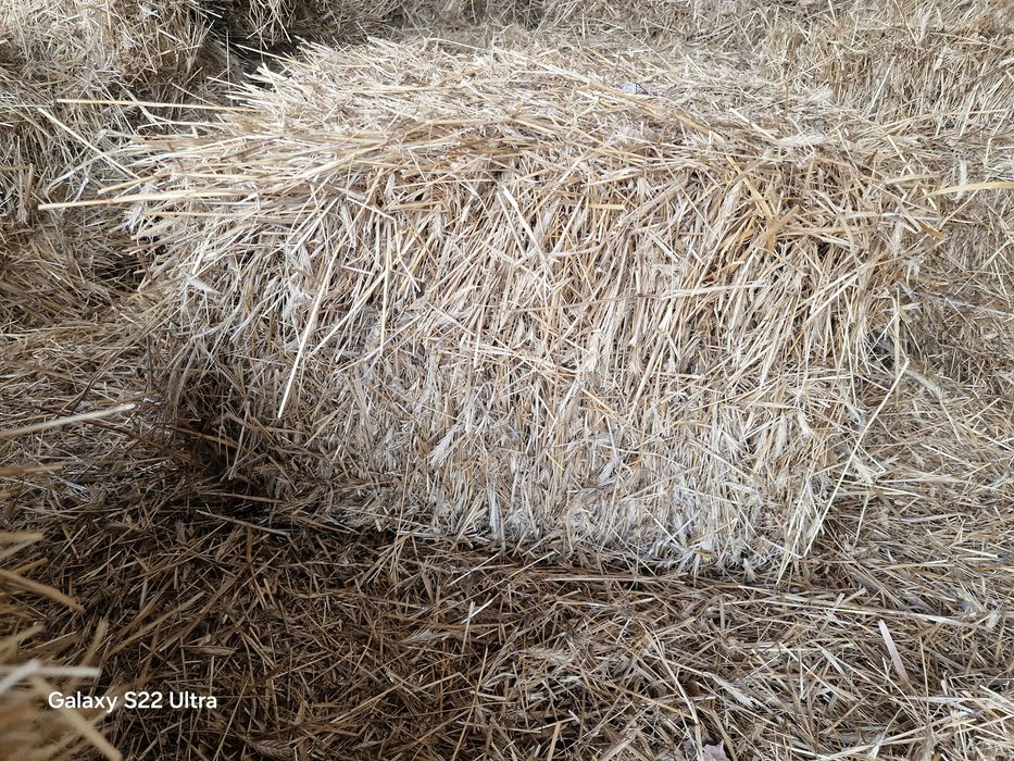 Sloma że stodoly / kostka /słoma /siano