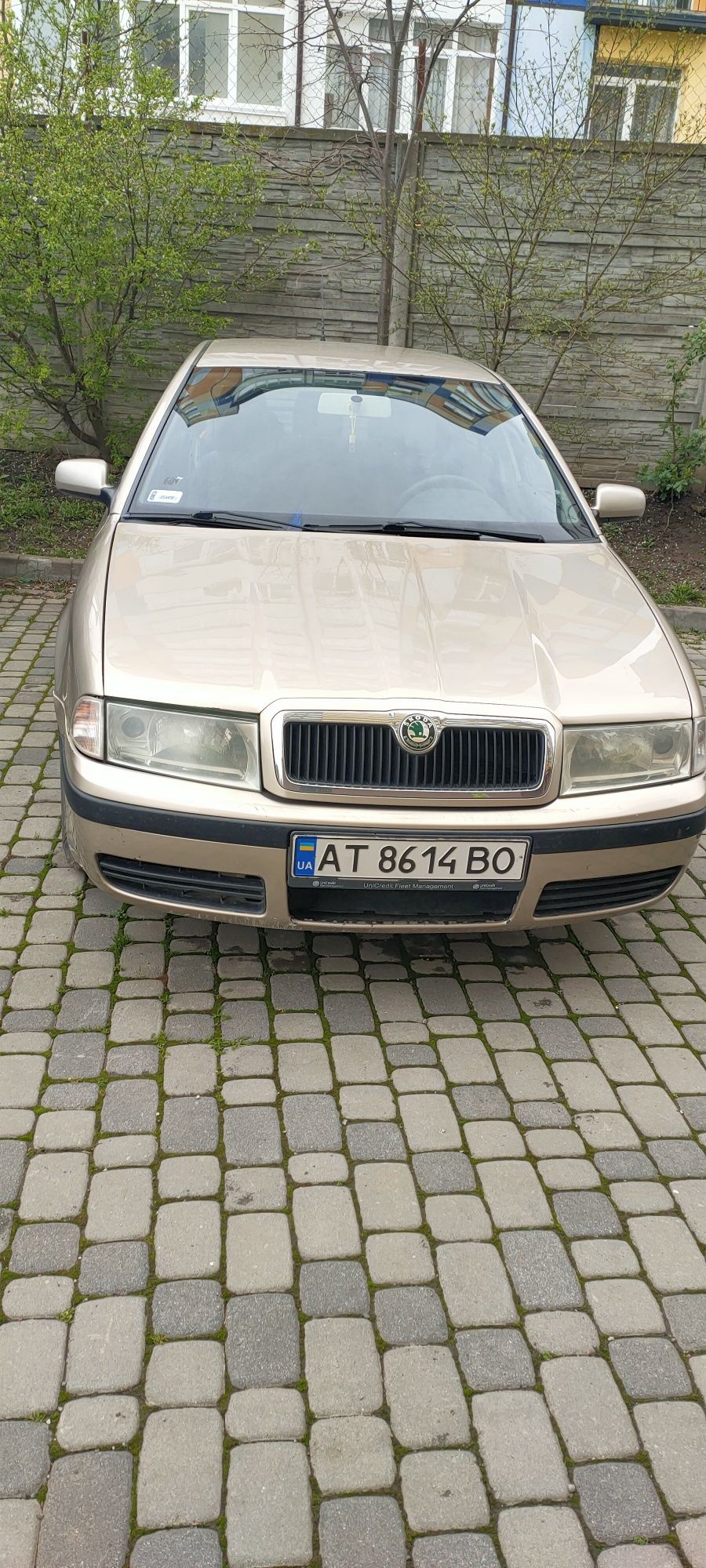 Шкода Октавія тур 2006, 1,9TDI