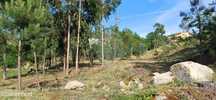 Terreno  para venda