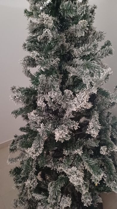 Árvore de Natal  nova