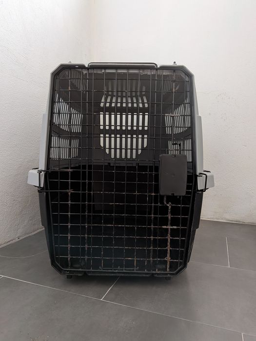 Transportadora de animais