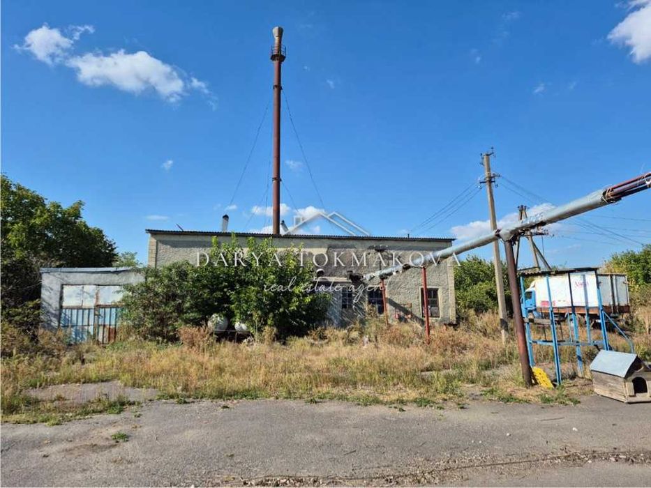 Продаж Піщанський молокозавод Без%