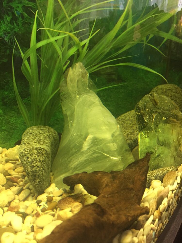 Оригинальные камни в аквариум