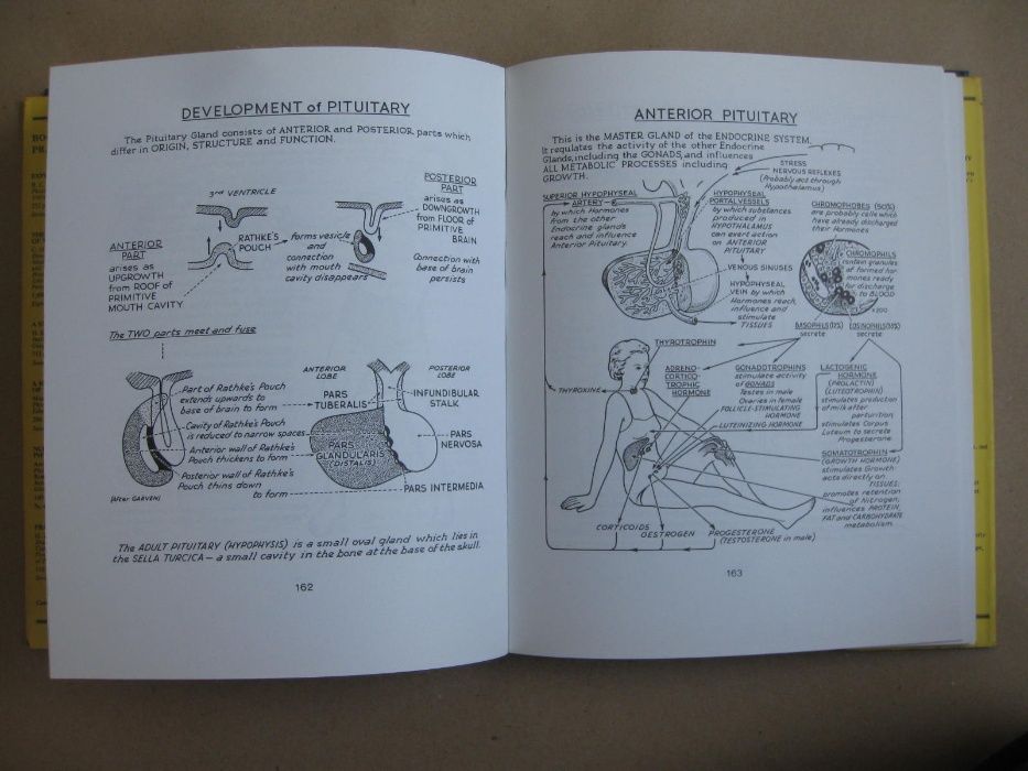 Ilustrated Physiology de McNaught and Callander