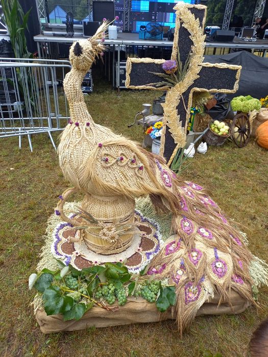 Wieniec Dożynkowy 2025