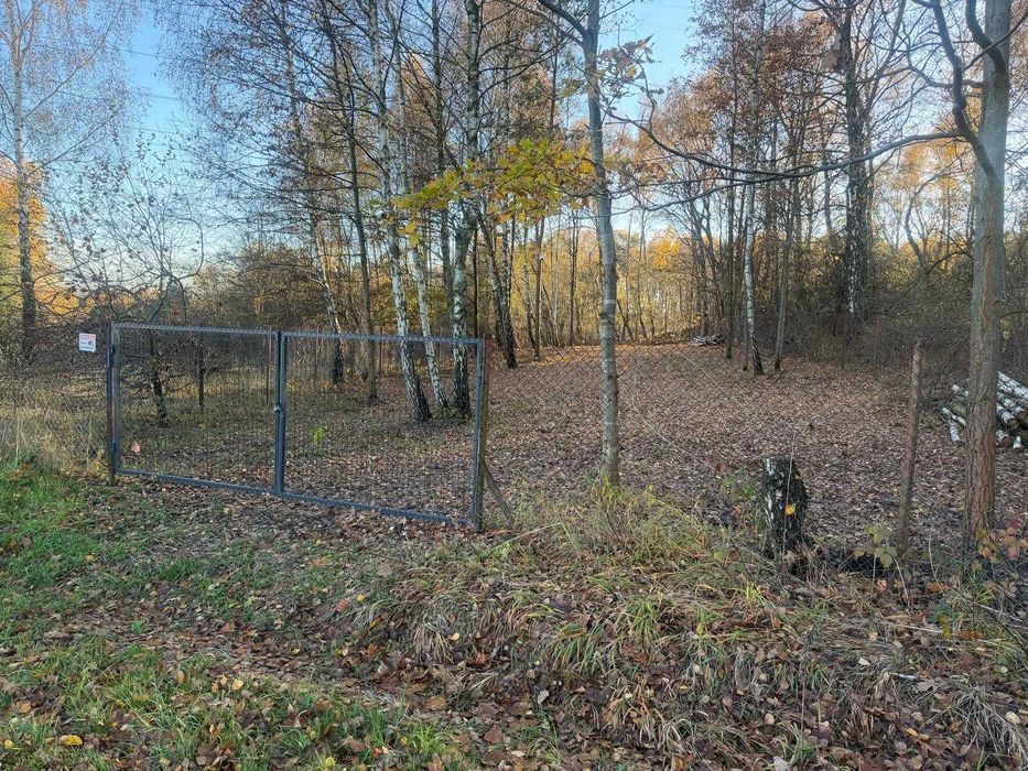 Działka budowlana w sąsiedztwie lasu