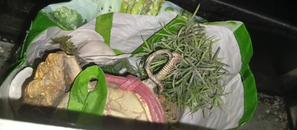 Aquário de 120L, em boas condições