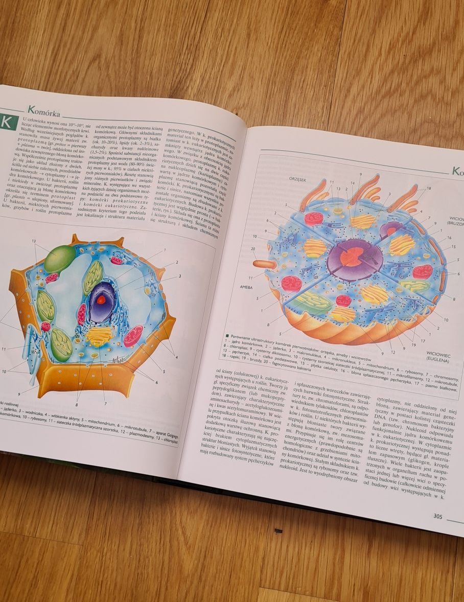 Encyklopedia Biologia