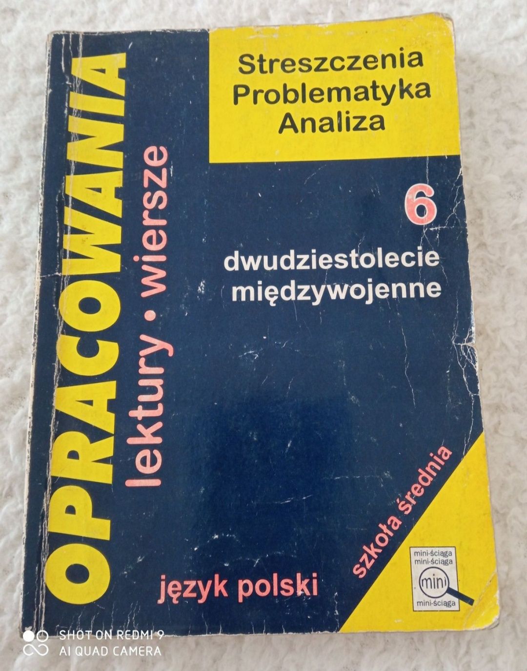 Dwudziestolecie międzywojenne. Opracowania 6