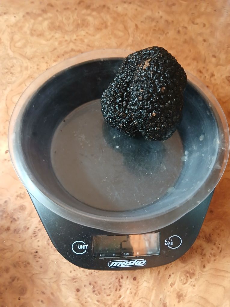 200g Letnich Trufli. - Prosto z Włoch. Tuber Aestivum.