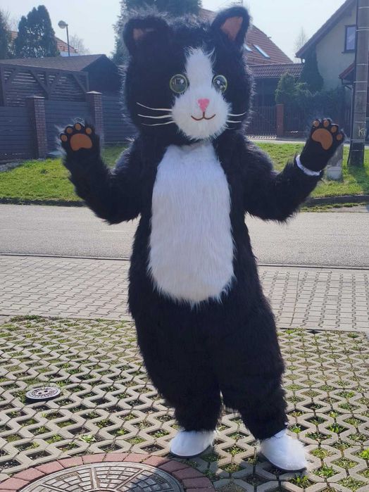 Żywe maskotki wynajem wysyłkowy strojów Misio Piesek Panda Kot Smok