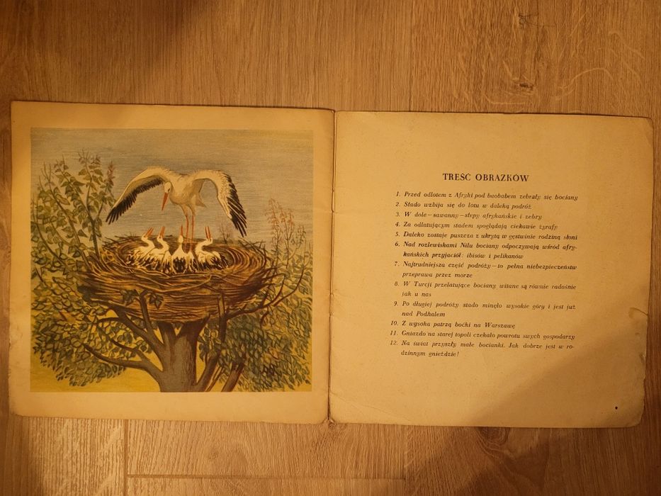 Roman Owidzki Bociany wracają