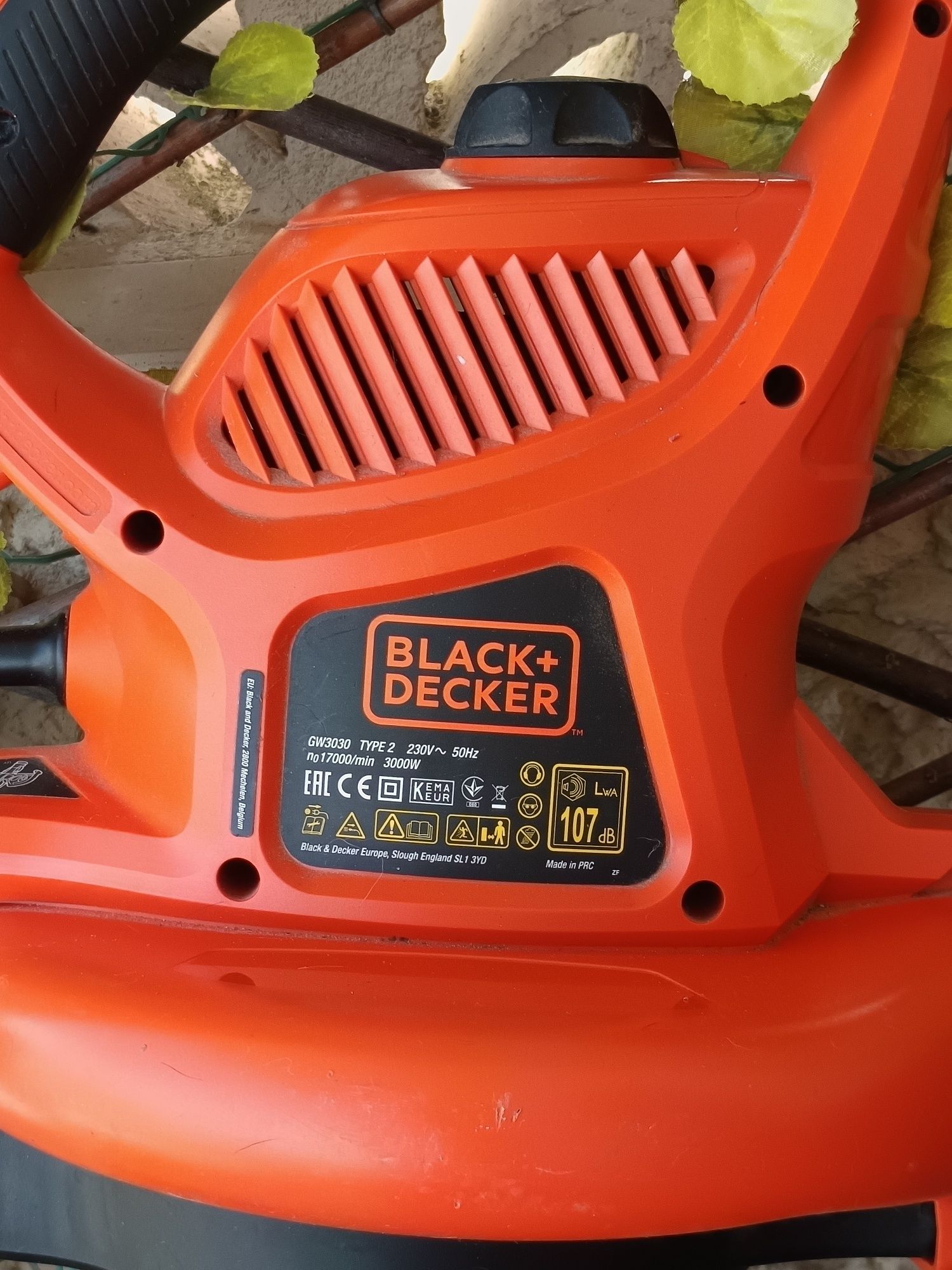 Black & Decker Soprador de Folhas GW3030
