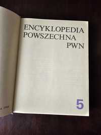 Encyklopedia PWN 5 rok 1988 za 10 zł