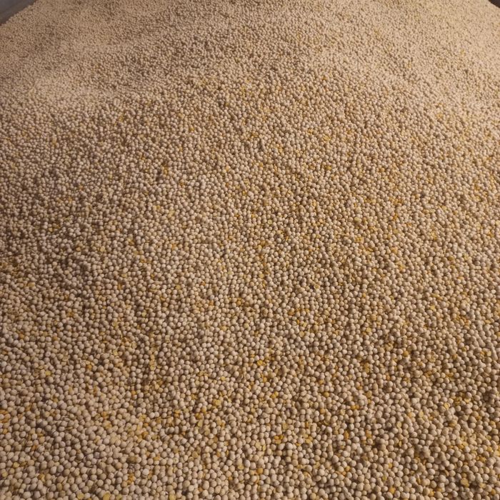 Groch ogólnoużytkowy 25 ton