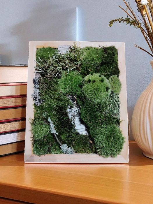 Żywy obraz z mchu - 100 % naturalny