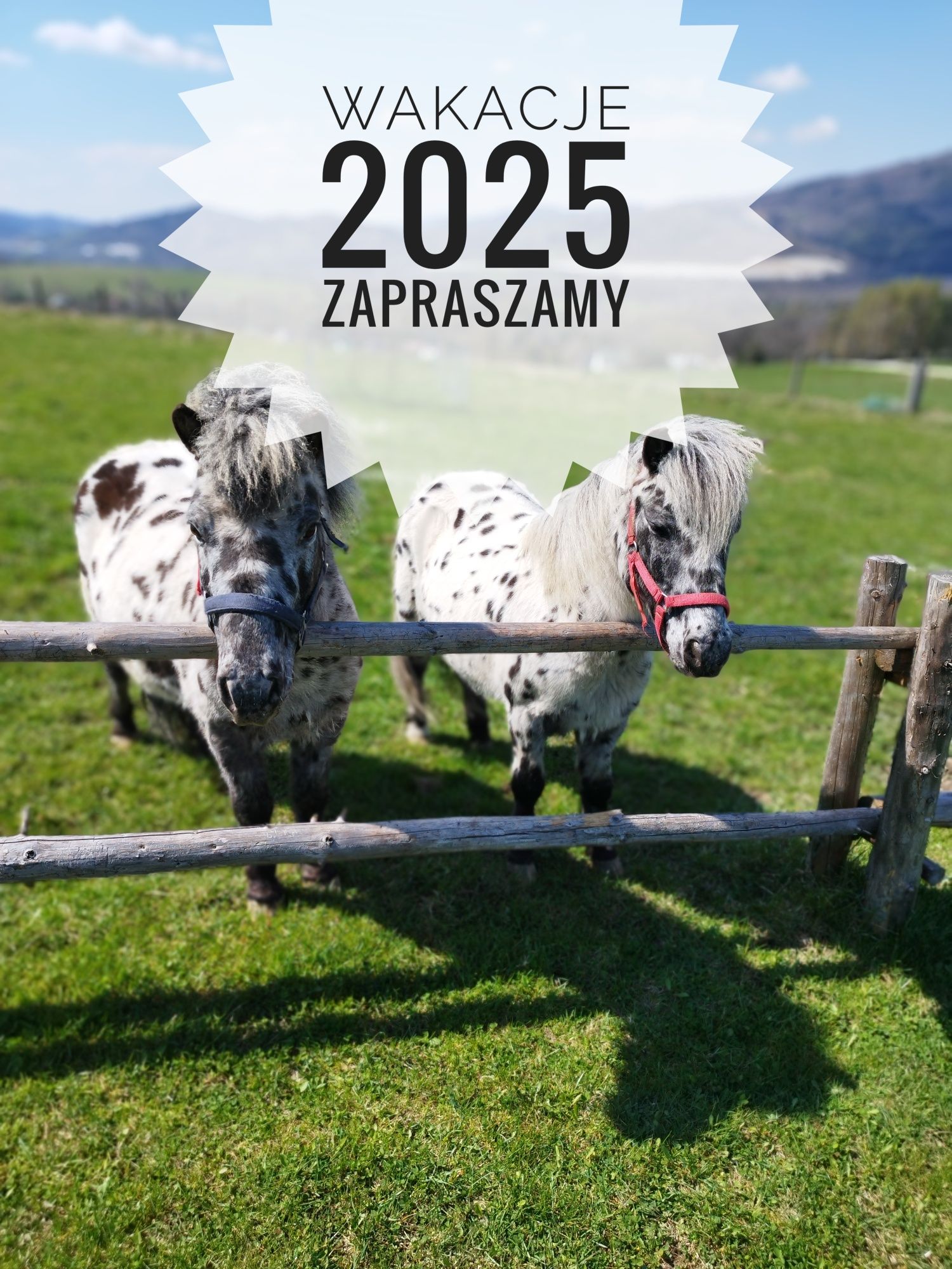 PROMOCJA Domki, noclegi w Beskidzie Żywieckim do wynajecia,Balia