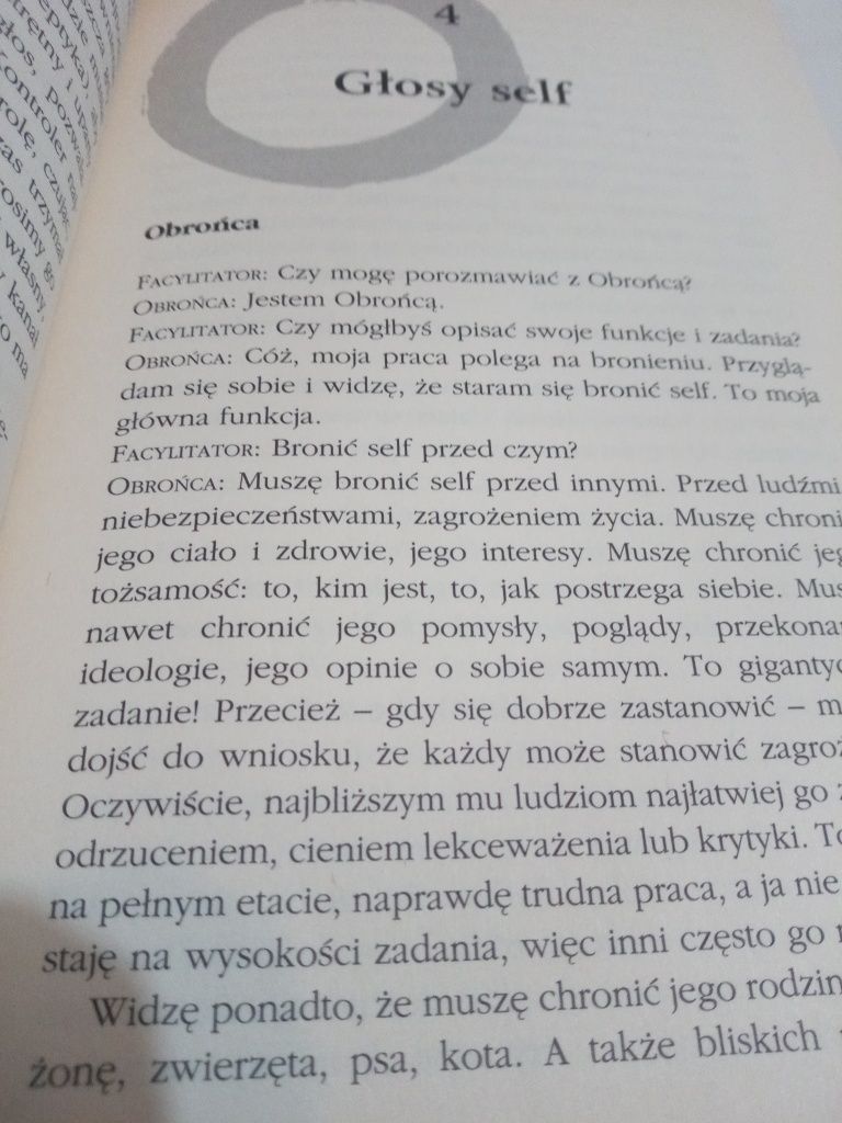 Wielki umysł, wielkie serce - Dennis Genpo Merzel