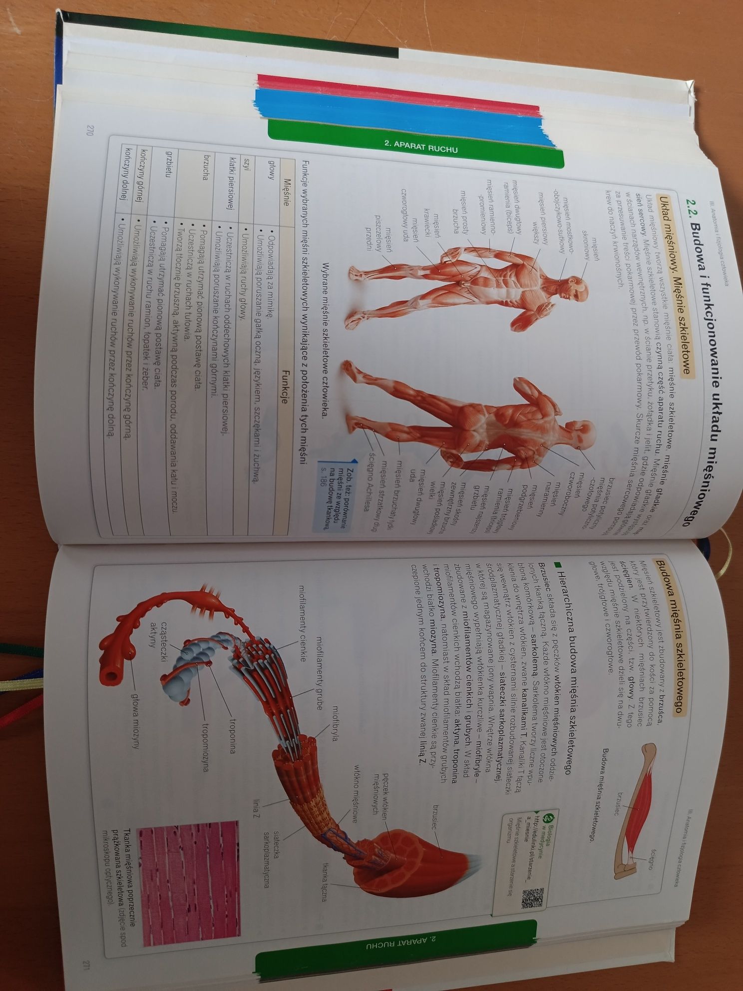 Vademecum Biologia teraz matura