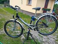 Rower Bergwelt 5 biegów