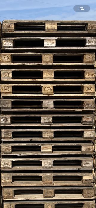 продам піддони різних розмірів із доставкою