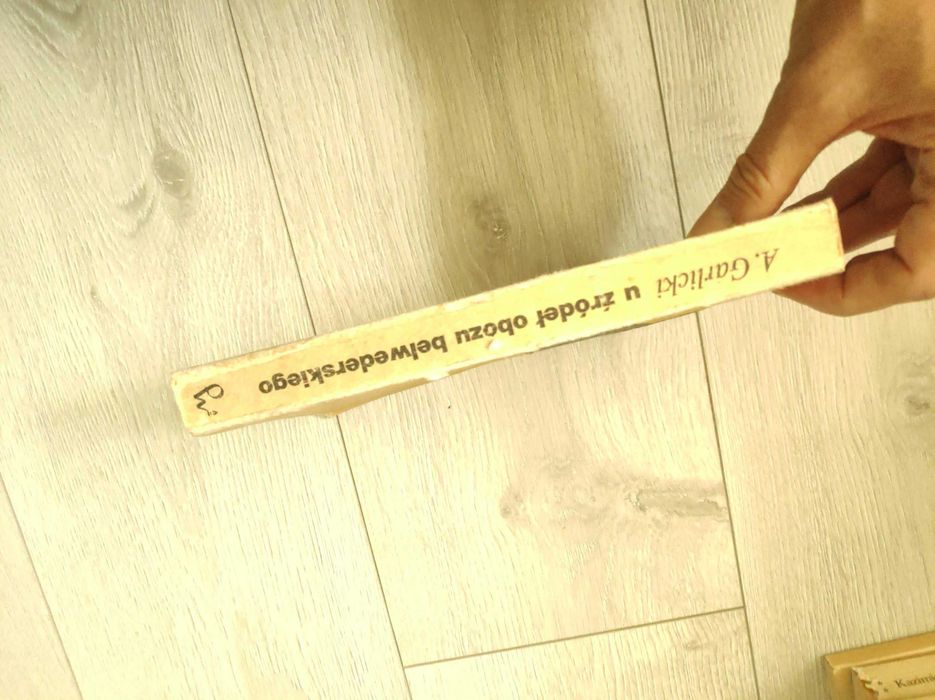 U źródeł obozu belwederskiego, Andrzej Garlicki