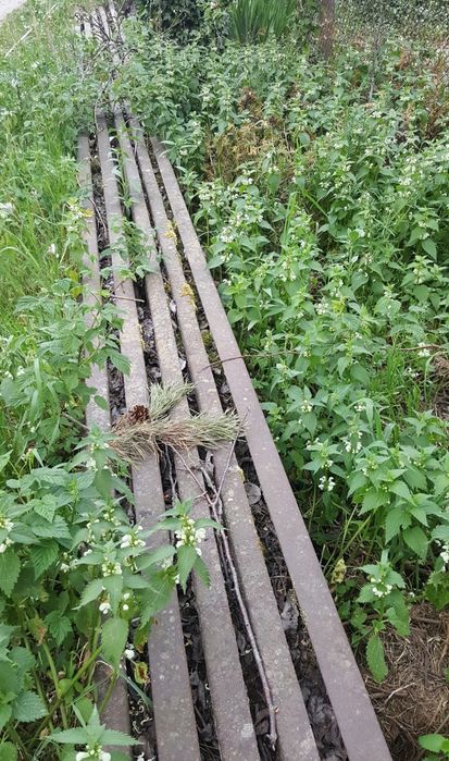 Szyny kolejki wąskotorowej