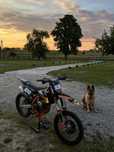 KTM SXF 250 [nie yamaha, honda, suzuki, kawasaki]