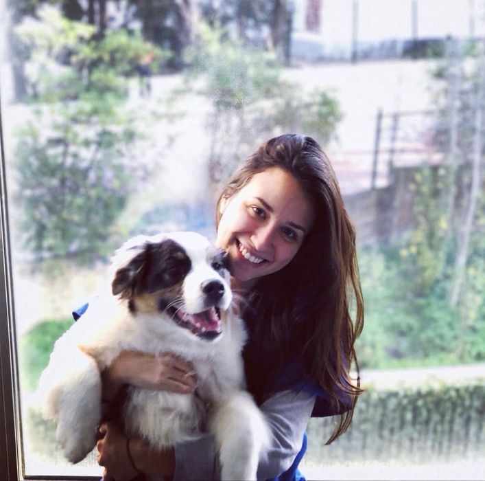 Estadia familiar para animais