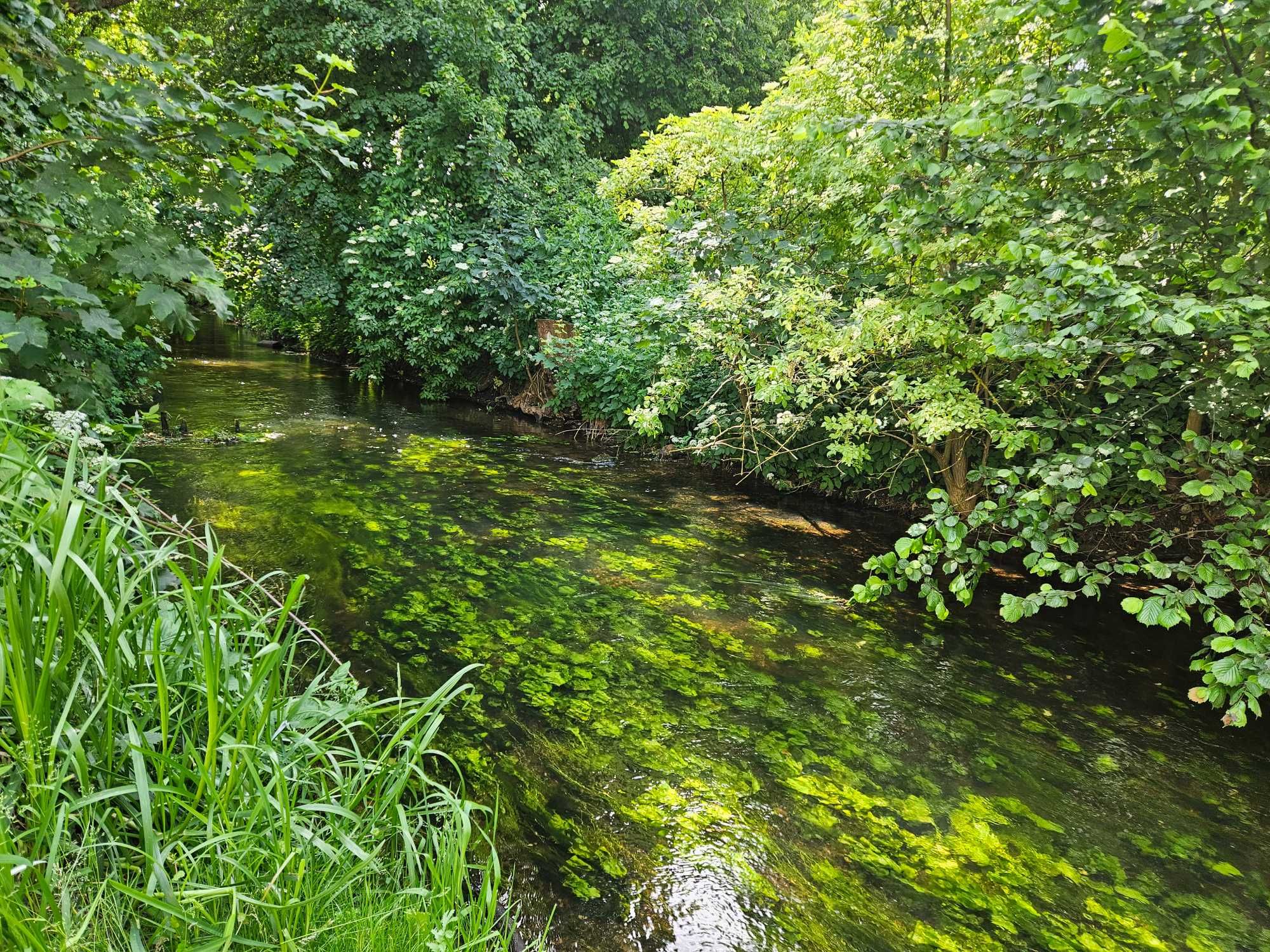 Chata nad Rzeką Lipusz