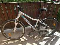 Rower kross lea 1.0