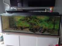Sprzedam Akwarium 375l