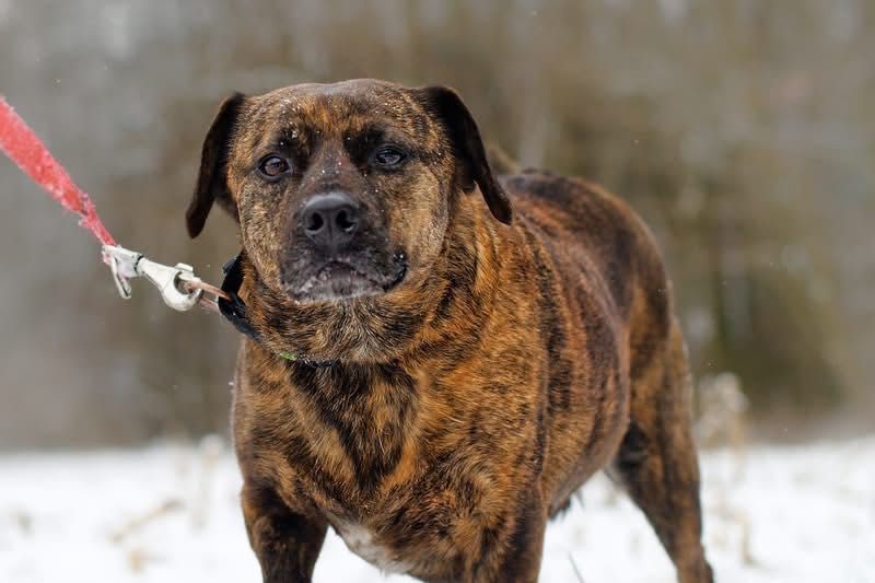 Hugo i Fado szukają rodziny