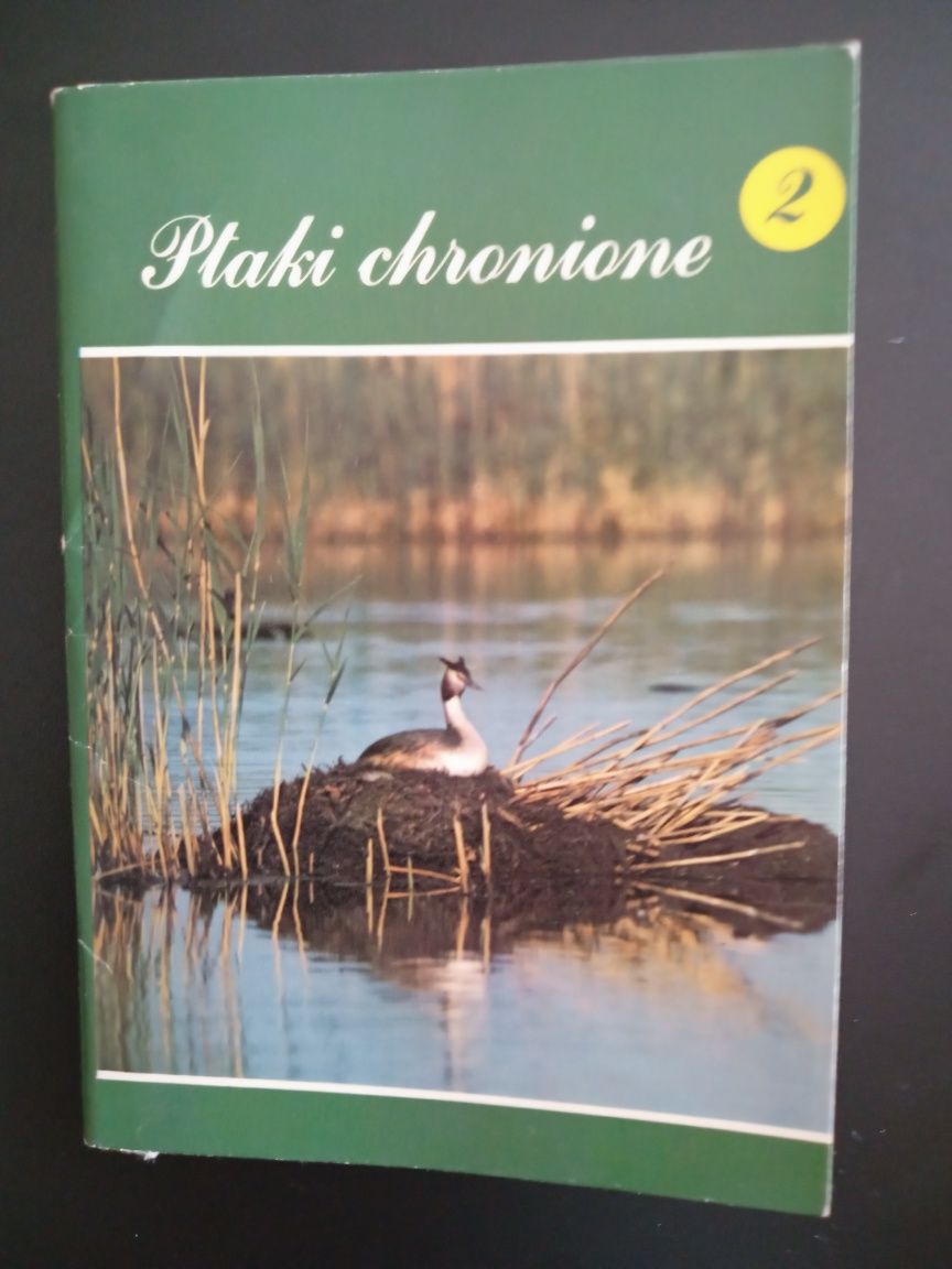 Zestaw kartek ptaki chronione 2