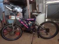 Rower delta sport