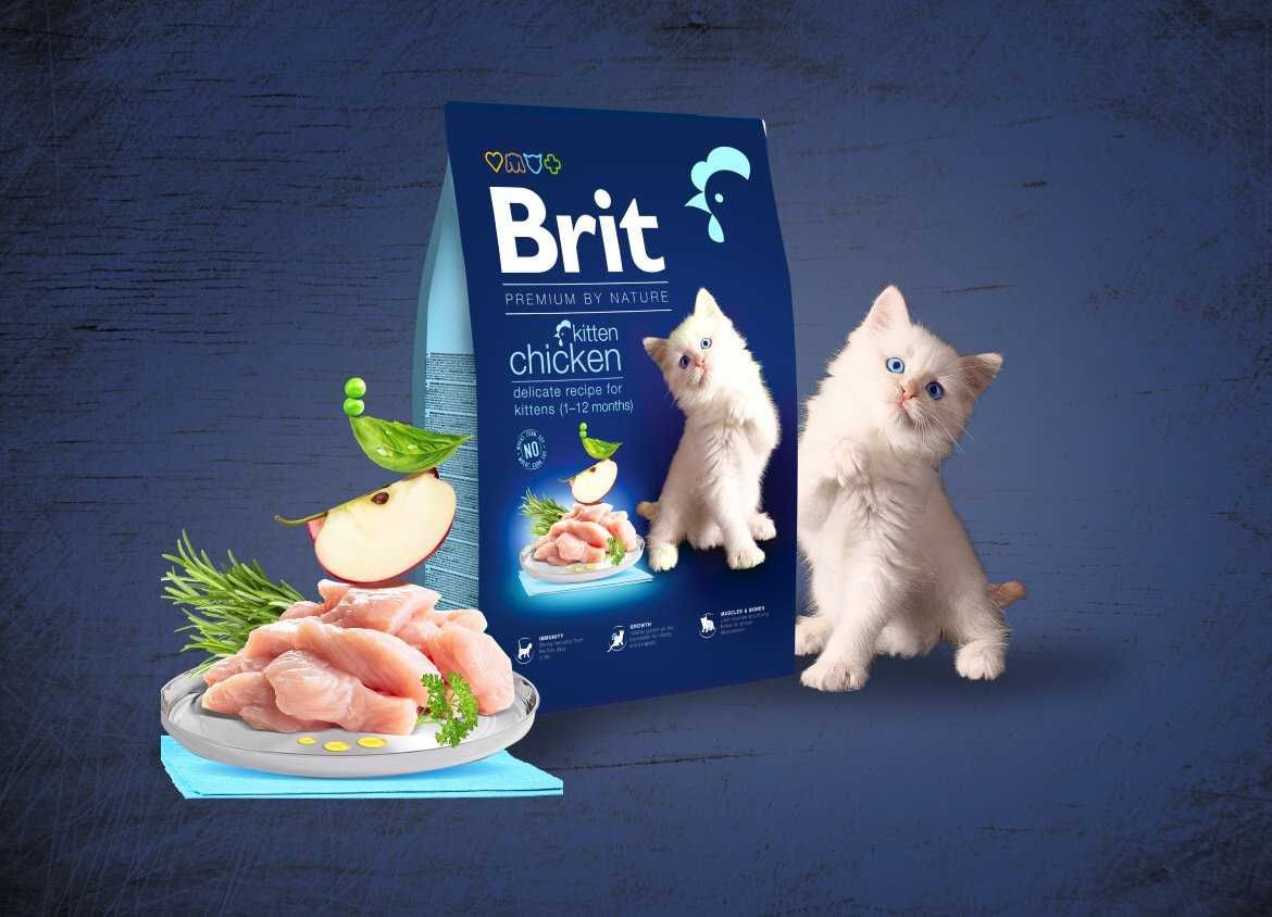 Сухой корм для котят Brit Premium by Nature Cat Kitten с курицей 300г