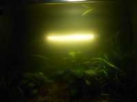 Новая светодиодная погружная лампа для аквариума. 17 см